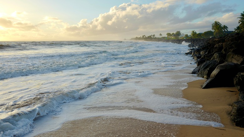 Kekaha beach on Kauai