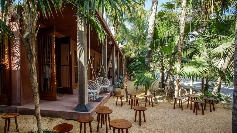 Eco restaurant under palm trees