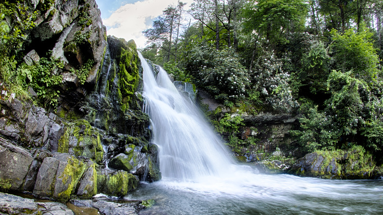 Abrams Falls