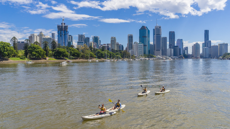 People kayaking in the Brisbane River
