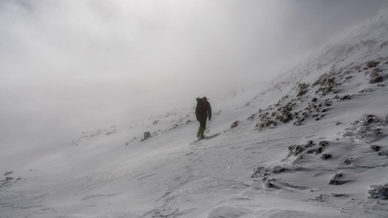 Hiker alone on a snowy trail