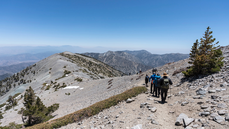 Hikers near the summit of Mount Baldy