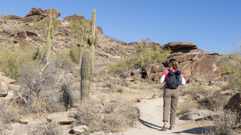 Hiker in the desert