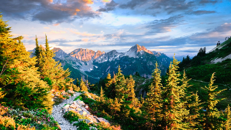 Path on Pacific Crest trail