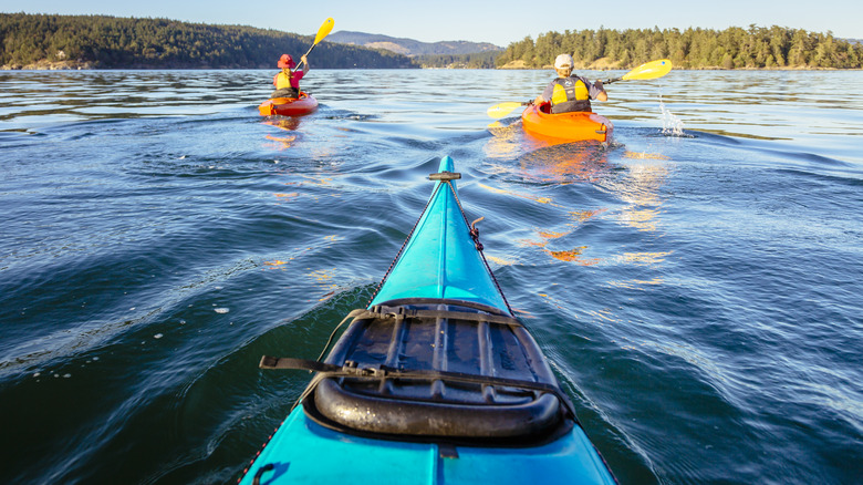 Sea kayaking in the San Juan Islands