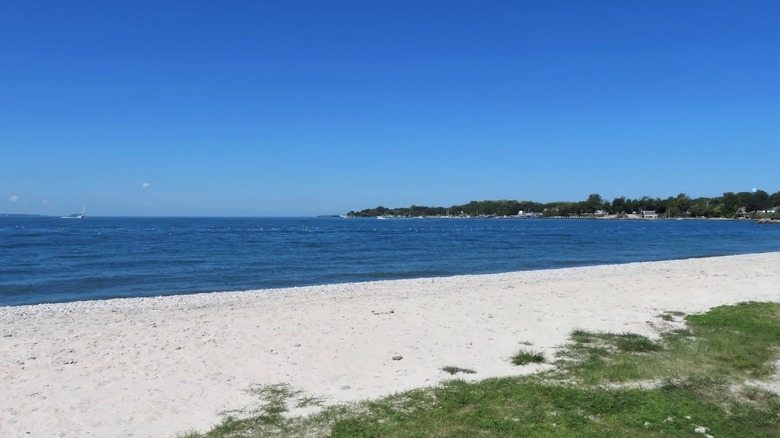 Sandy lakeshore beach with grass