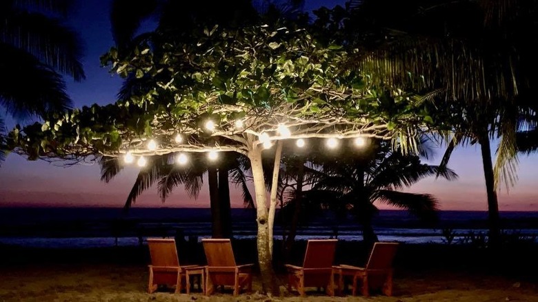 Chairs on beach at night under tree with lights