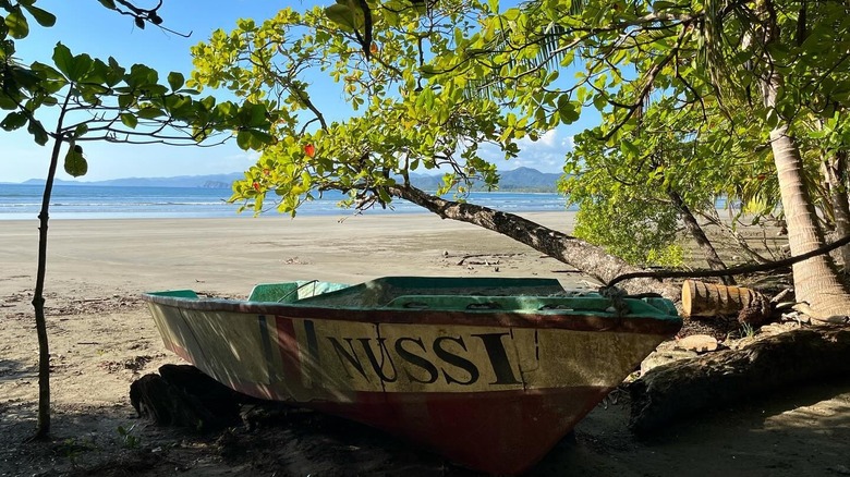 Boat under trees on beach