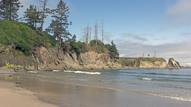 Sandy beach on Oregon coast near Coos Bay