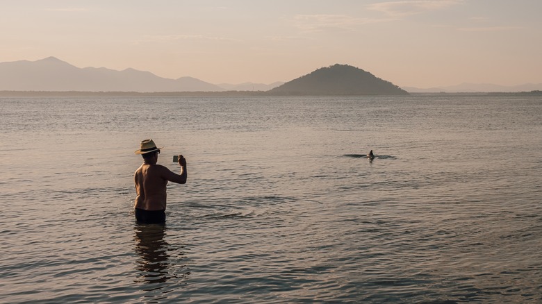 Traveler photographing a swimming dolphin