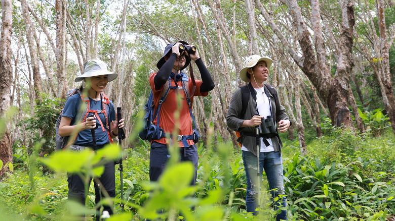 Friends birding in the woods