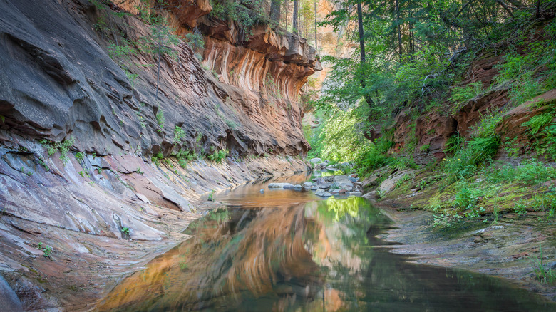 colorful canyon, trees, and stream