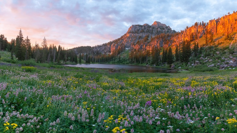 sunrise over the mountains