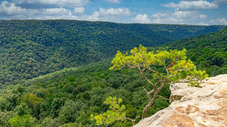 A rocky ledge overlooking mountains covered in trees