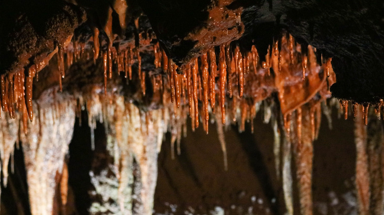 small stalactites in a cave