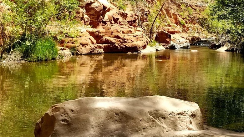 swimming hole, trees, and rocks