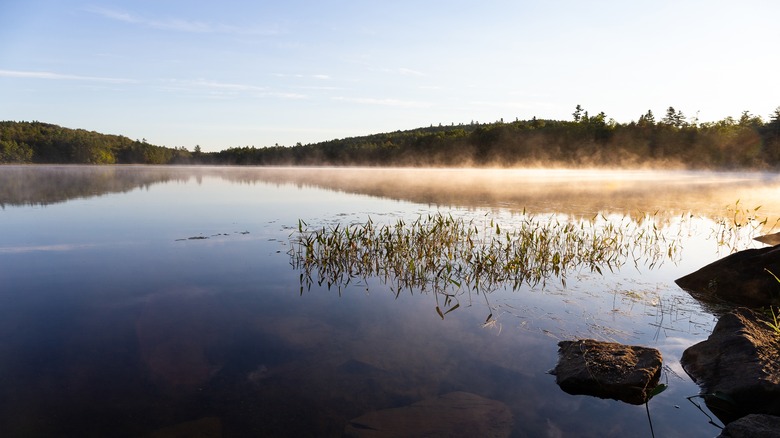 Morning fog over Swan Lake 