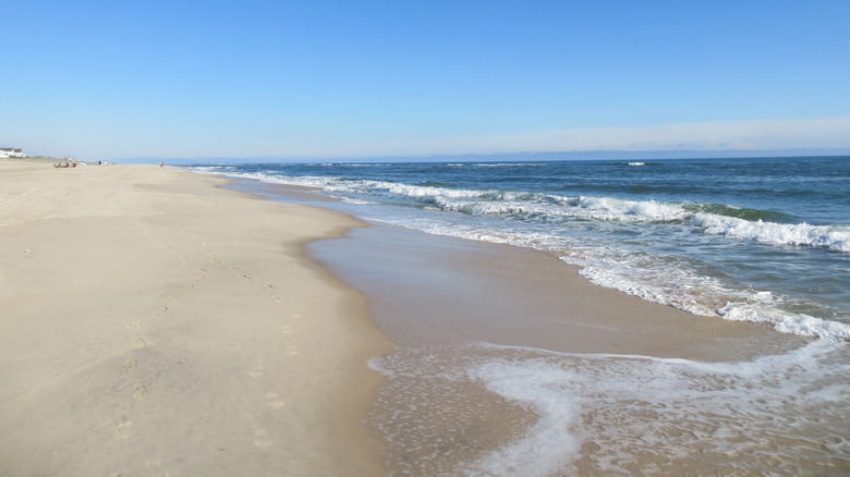 Cooper's Beach in Southampton