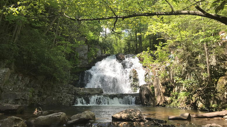 Hawk Falls in Pennsylvania