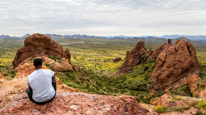 Hiker appreciating the view of the Sonoran desert