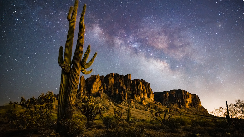 Starry skies over the Arizona desert