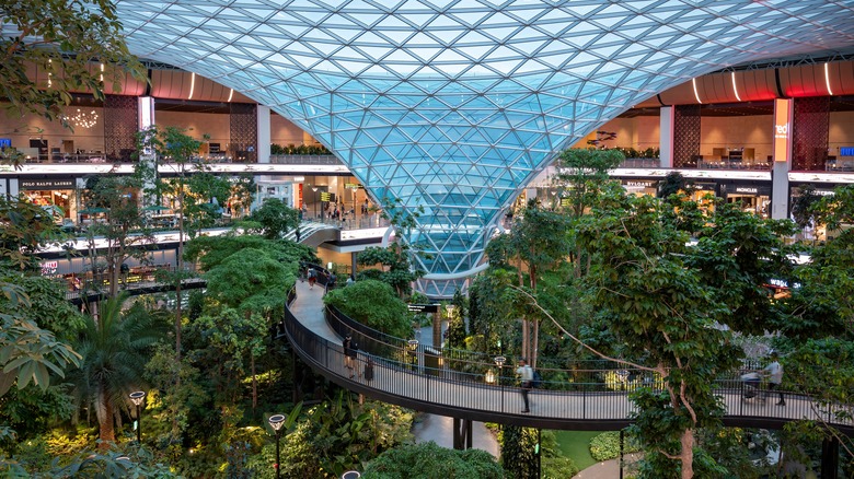 Hamad International Airport garden