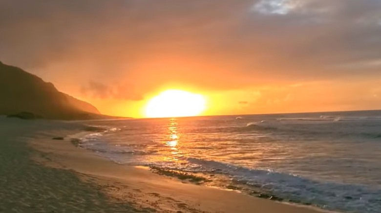 Mokule'ia Army Beach, O'ahu, Hawai'i