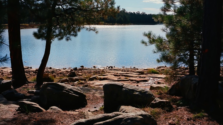 shores of woods canyon lake