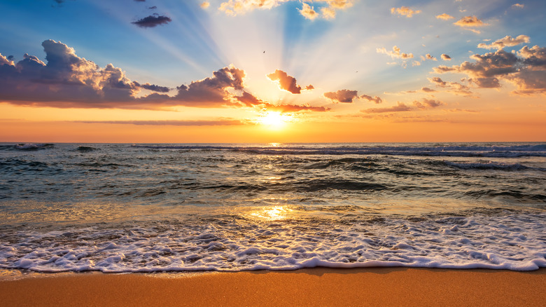 Beach sunset in Florida