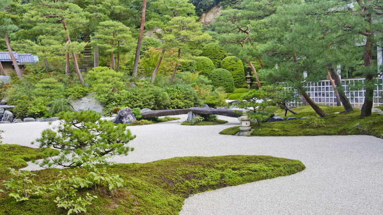Path in a Japanese garden
