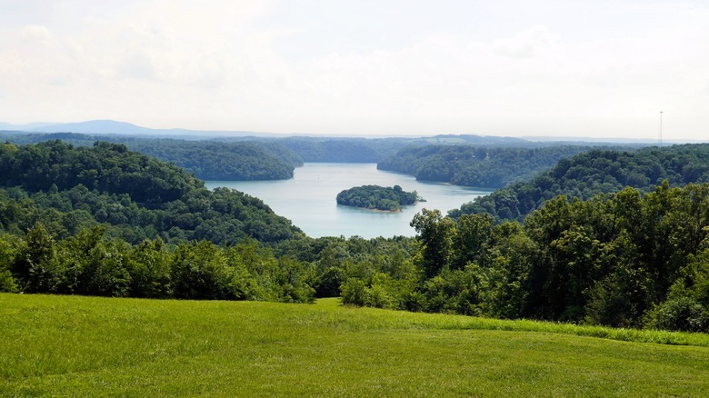 Landscape view of Dale Hollow