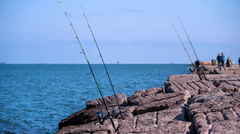 fishing rods on rocks by Gulf