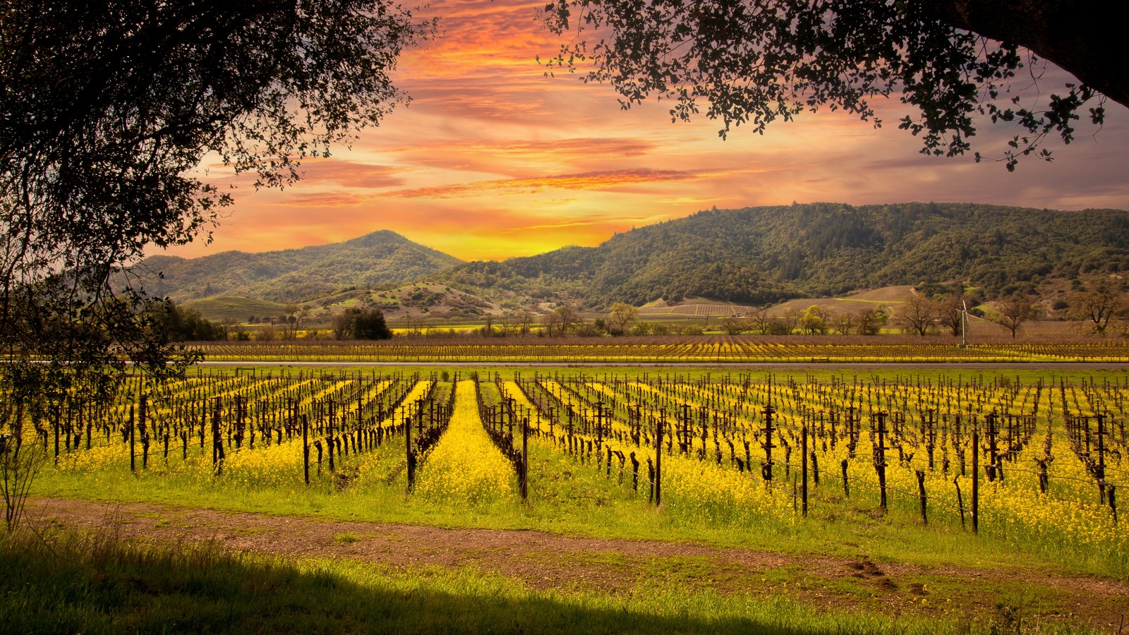 This Top-Rated, Mountainside Winery Features Some Of The Best Views In ...