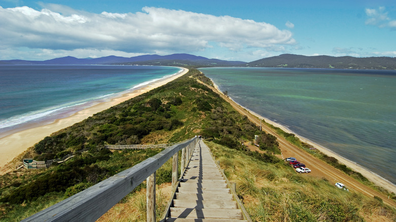The Neck viewpoint Bruny Island