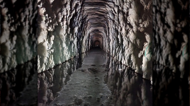 View inside Stumphouse Tunnel