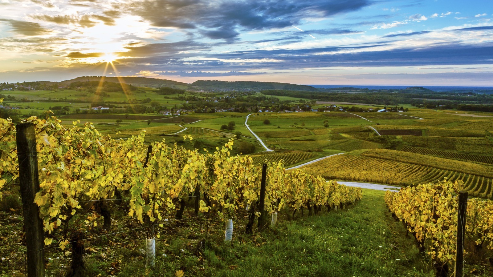 this-under-the-radar-french-region-is-the-perfect-wine-vacation-spot