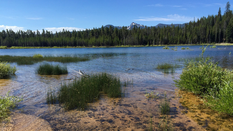 Crescent Lake in Oregon's Deschutes National Forest