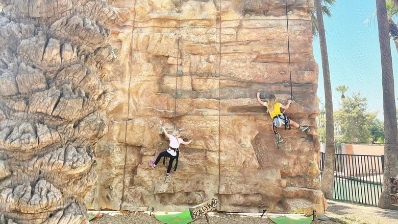 children on rock climbing wall