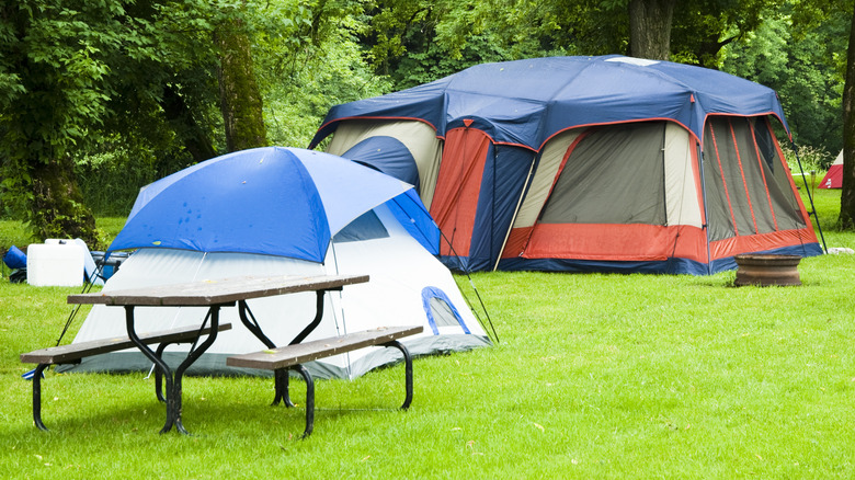 two tents surrounded by trees