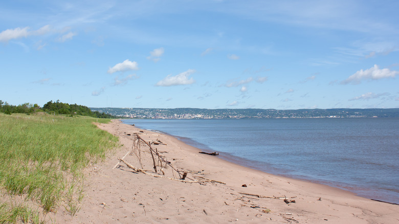 grass bordering empty beach