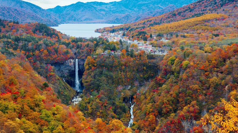 Lake Chuzenji autumn leaves elevated view