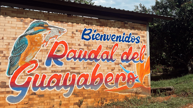 Painted sign welcoming visitors to Raudal del Guayabero