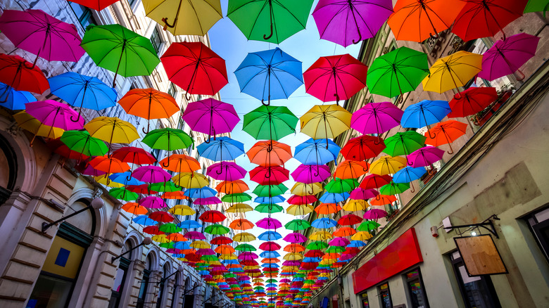 umbrellas over Timisoara street