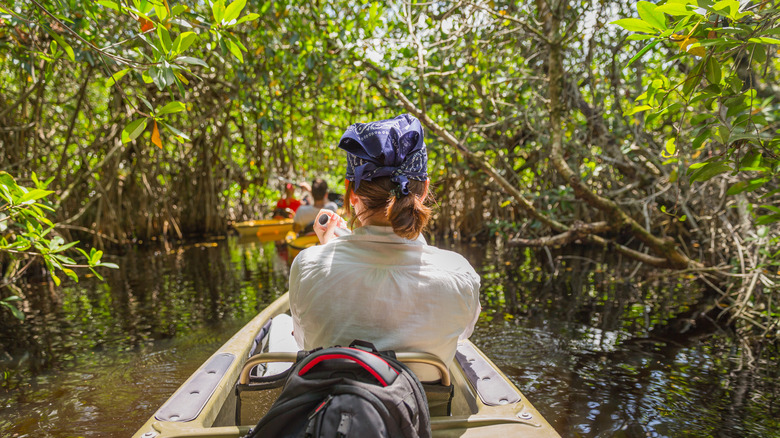 Kayaking through mangrove trees