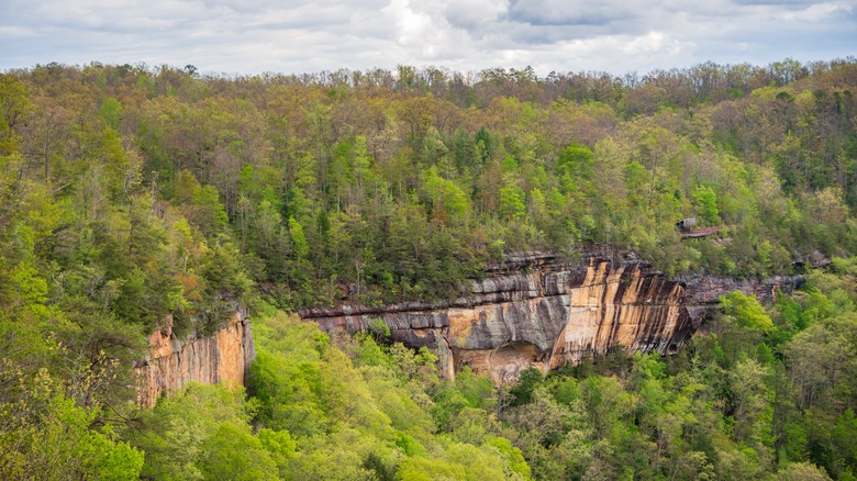 Aerial shot of Big South Fork Cliffs