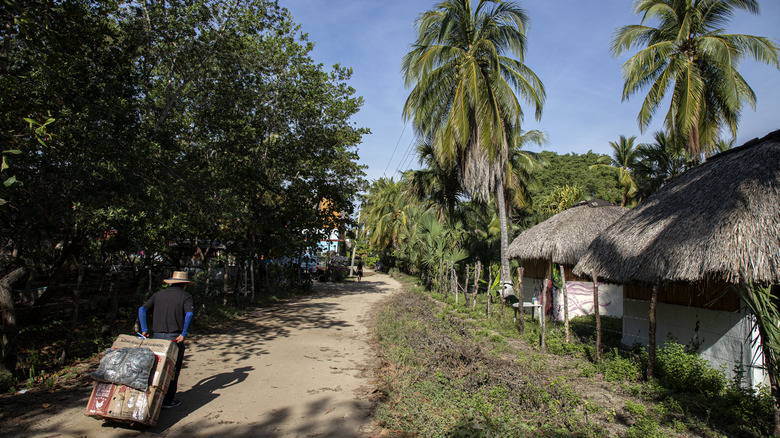 Road in Chacahua, Mexico