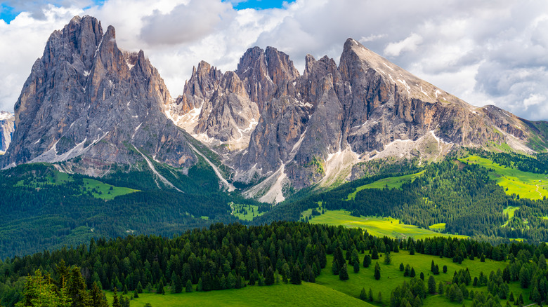 Rugged mountains and evergreen forest