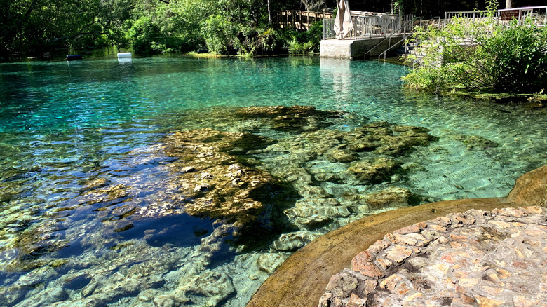 Ichetucknee Spring State Park Headspring