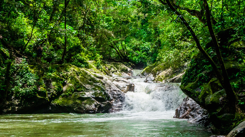 Waterfall in Minca, Colombia