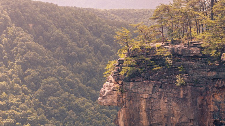 Rock formation overlooking New River Gorge